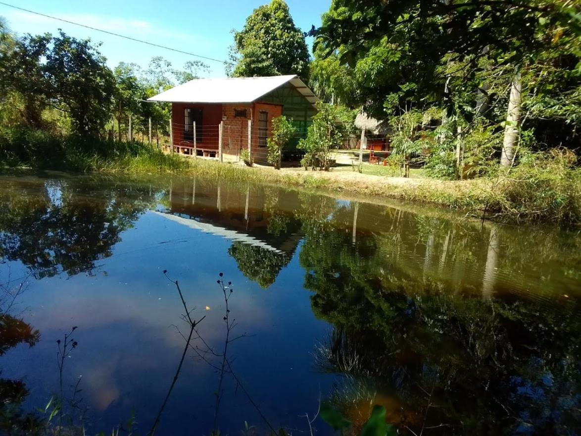 Albertico Jungle House Affittacamere Pucallpa Esterno foto